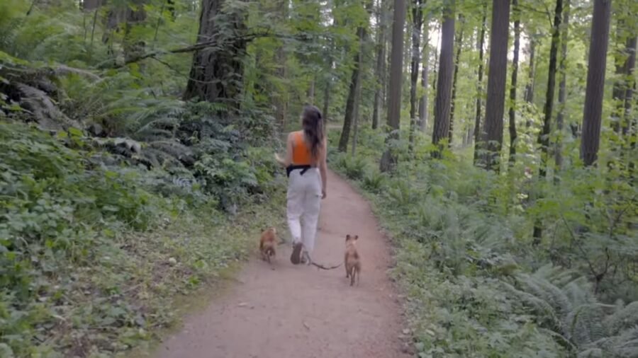 Her 15K Van Life 006