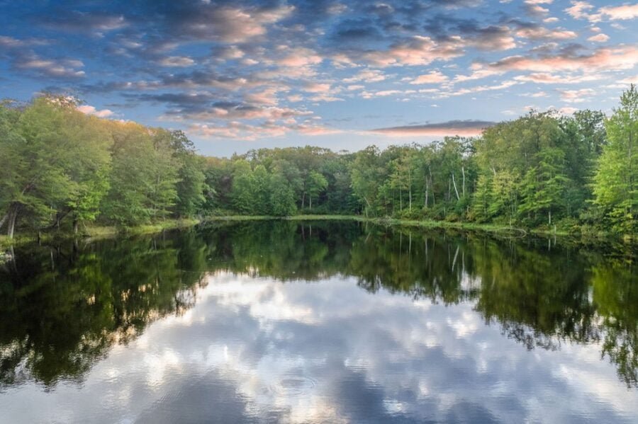 Lakefront Classic King XL Tiny House on Lot 16 0010