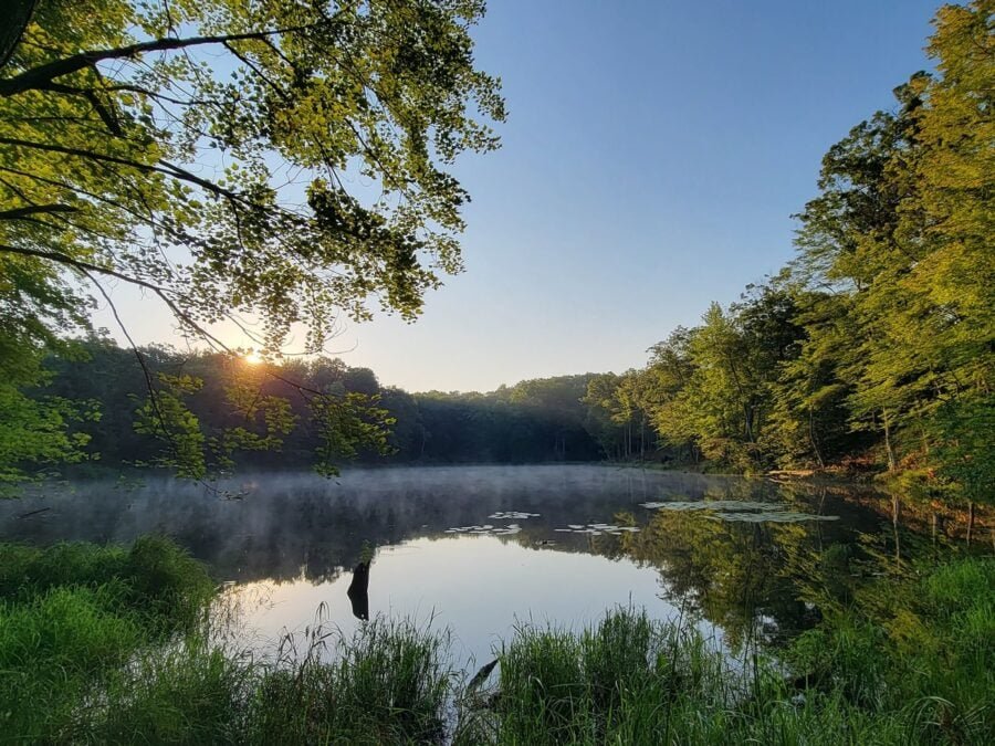 King XL Tiny House Lot 19 Canoe Bay Village 0010